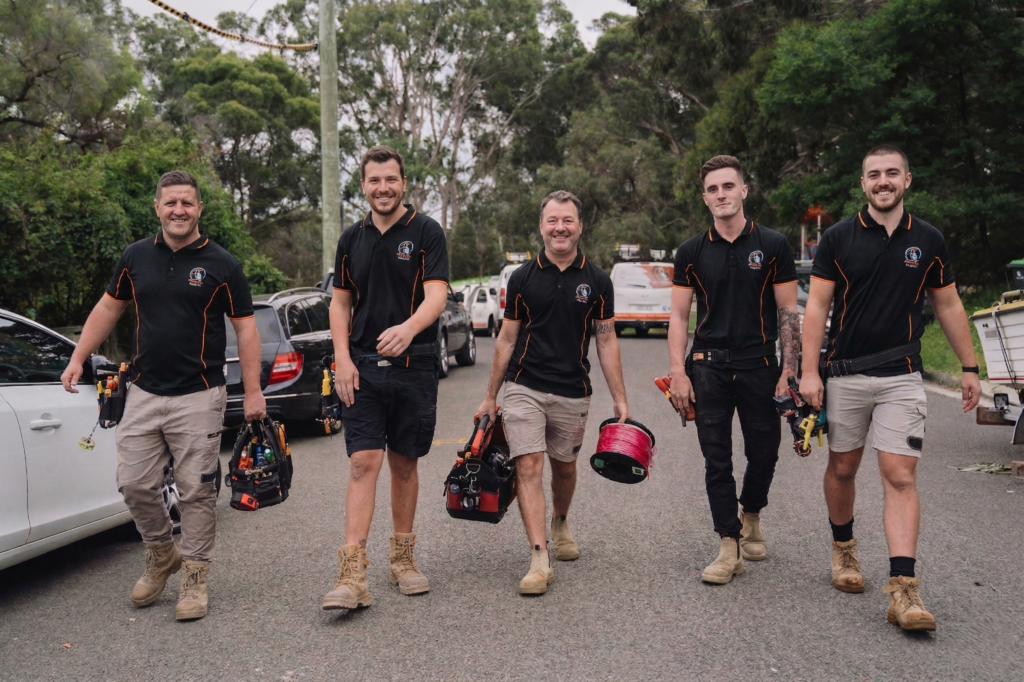 Professional electrical services in Galston